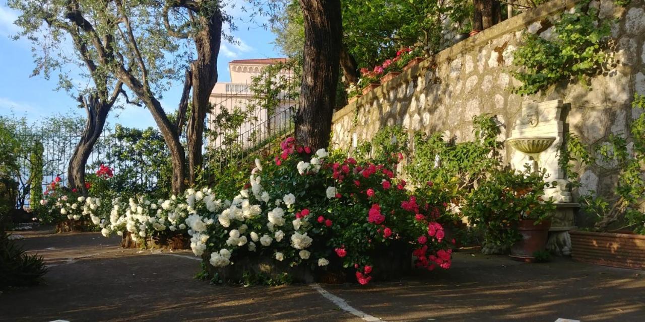 Villa L'Ulivina Sorrento Exterior photo