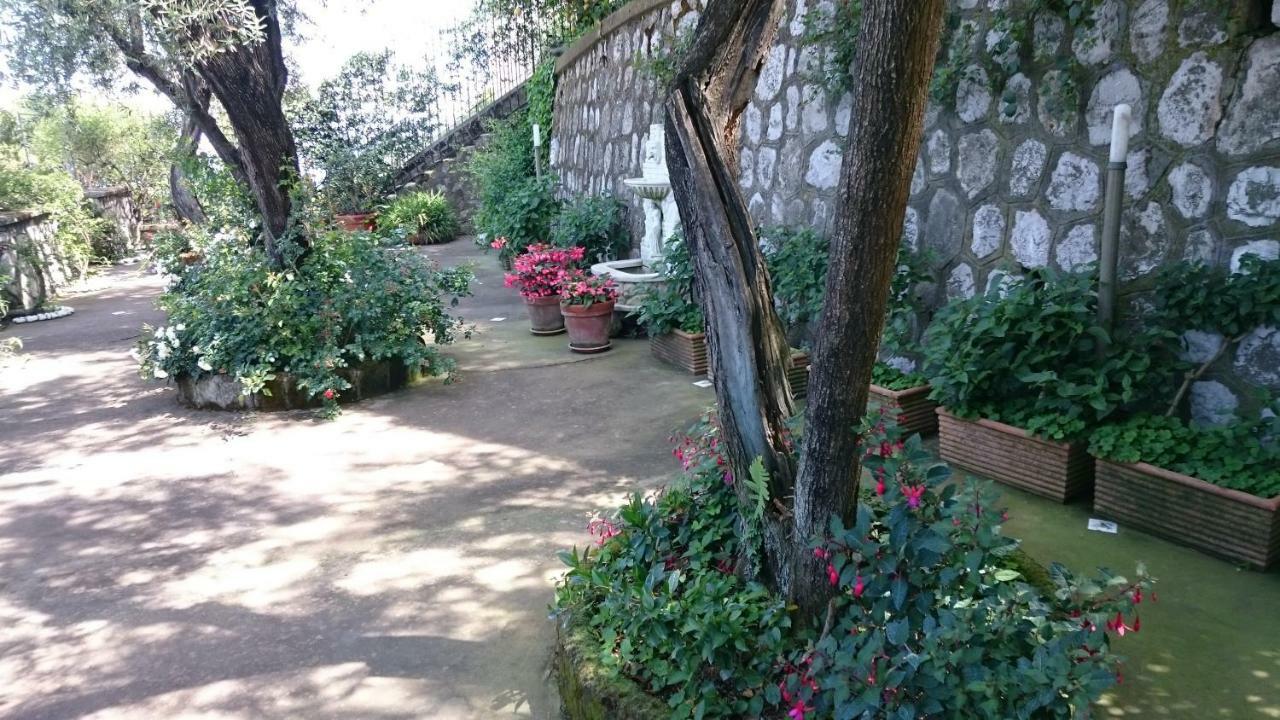 Villa L'Ulivina Sorrento Exterior photo