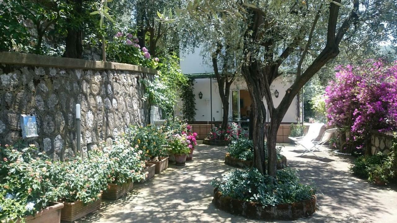 Villa L'Ulivina Sorrento Exterior photo